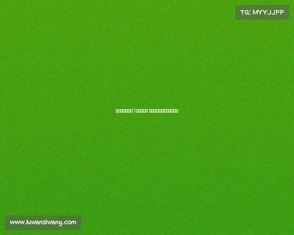 米内罗：能拿到1分感到高兴 于汉超总是出现在最佳位置